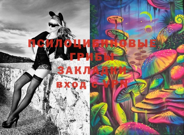 молекула духа Вязники
