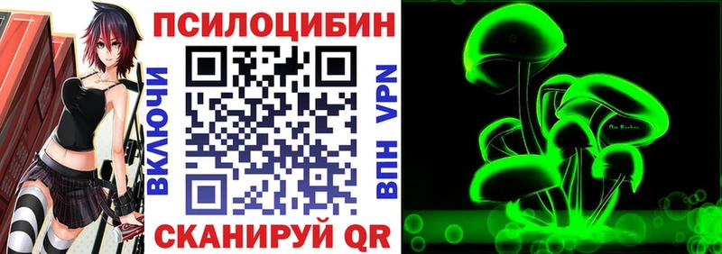 дарнет шоп KRAKEN зеркало Псилоцибиновые грибы Cubensis Заполярный